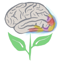 Drawing the Functional Atlas of Visual Areas - Home